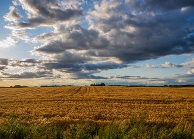 Lithuanian fields