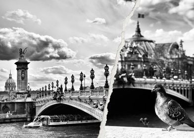 Paris Bridge