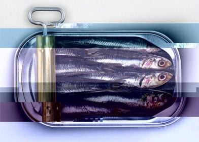 Sardines for Breakfast