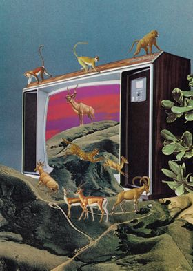 Animal Channel [collage]