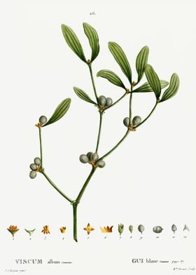 Traite Arbres (1819) Orig-preview-0