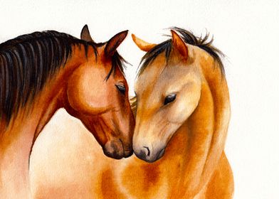 Horse love