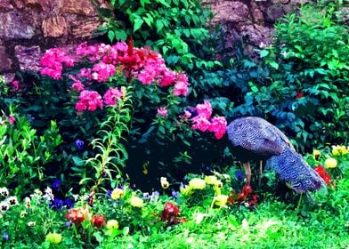 Peacock and flowers