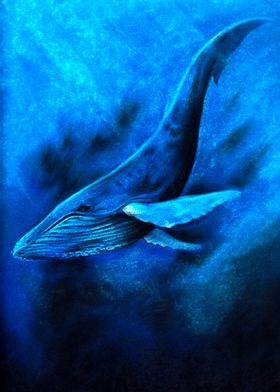 Blue whale