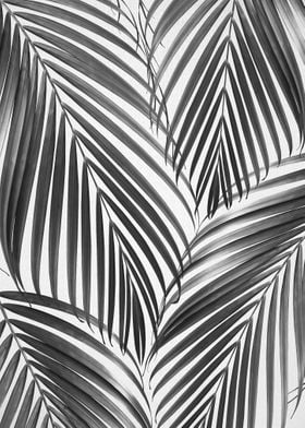 Palm Leaves BW