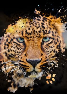 a Splash of Leopard