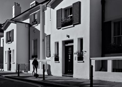 Black and White Houses