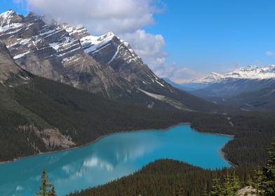 Lake Peyto