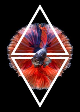 Fish Keeper Prints-preview-0