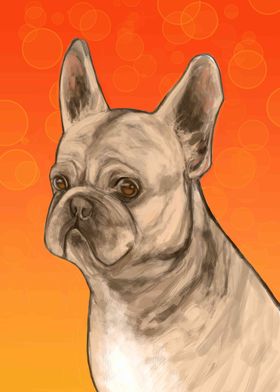 French Bulldog Frenchie