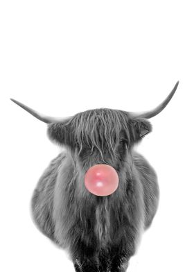 cow with bubble gum