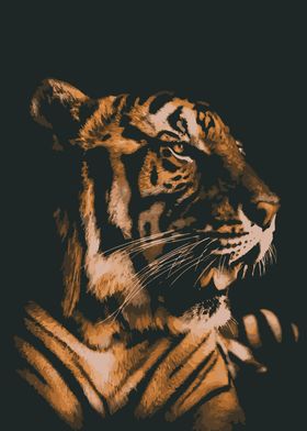 Tiger Profile 