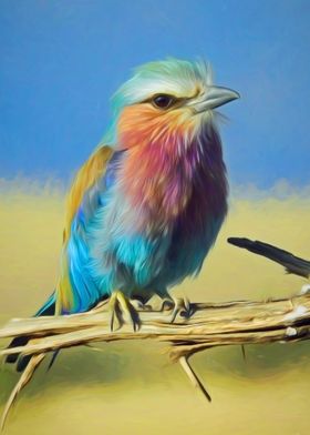 Colorful Bird