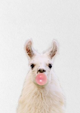cute llama with bubblegum 