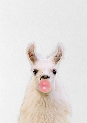 cute llama with bubblegum 