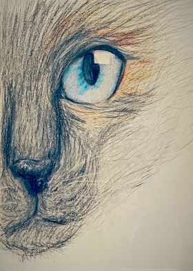 M Blue Eye Drawn Cat