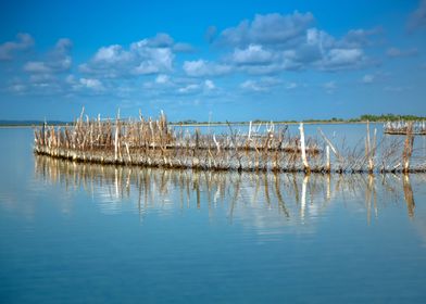 Fishing Kraals of Kosi Bay