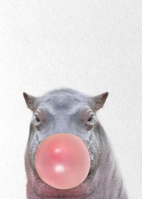 Hippopotamus baby gum