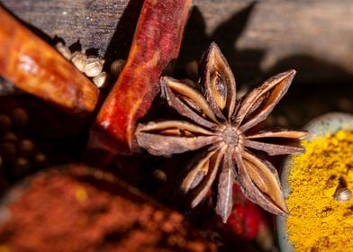 star anise and chilies