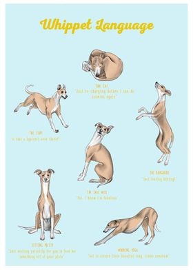 Whippet Language Print