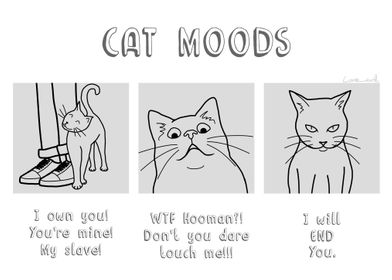 Cat Moods
