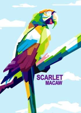 Beauty of Scarlet Macaw