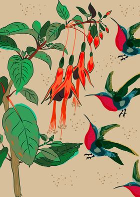 Garnet Throat Hummingbirds