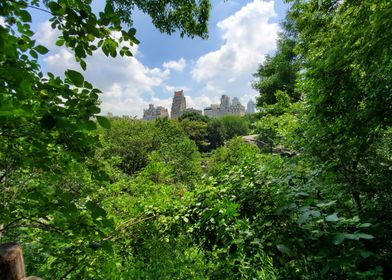 View from Central Park