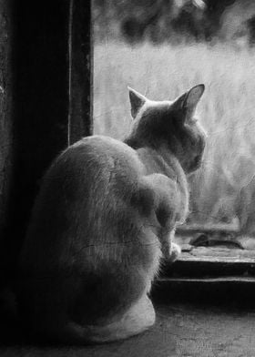 Depressed cat on window