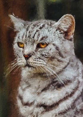 Disappointed cat painting