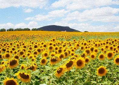 White house and sunflowers