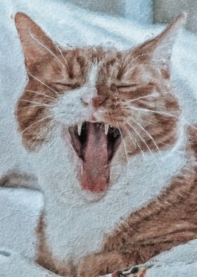 Cat yawning sleepy