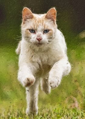 Jumping cat