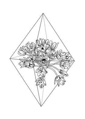 Flowers in Rhombus