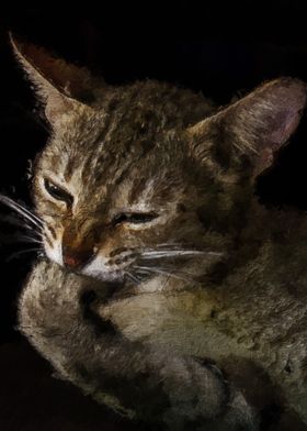 Cat biting nails