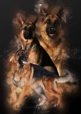 GERMAN SHEPHERD