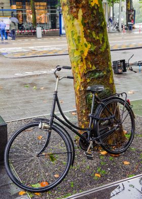 Dutchie Bicycle