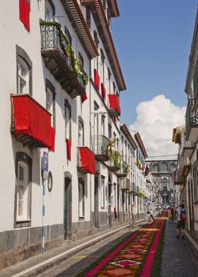 Street in Ponta Delgada