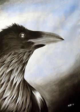 Birdie - Crow