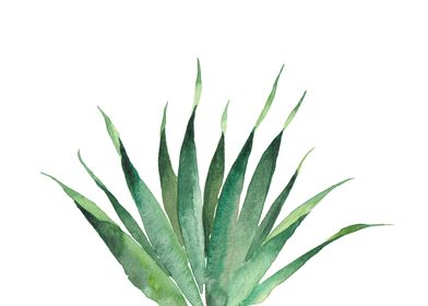 Palm Leaf 4