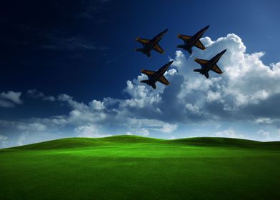 Blue Angels over Meadow