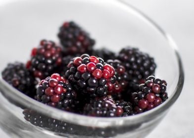 Blackberries