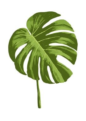 Monstera Botanical Art 