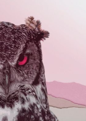 Pink Owl