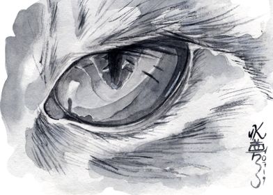 black and white cat eye