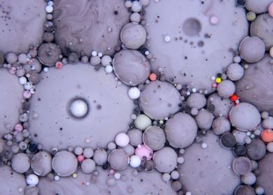 Bubbles Art Blackcurrant