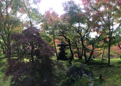 Kyoto Zen Garden