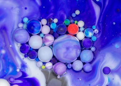 Bubbles Art Vinex