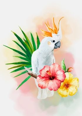 White parrot