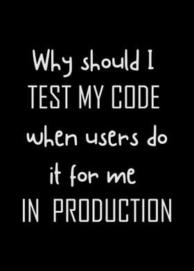 Why Should I Test My Code